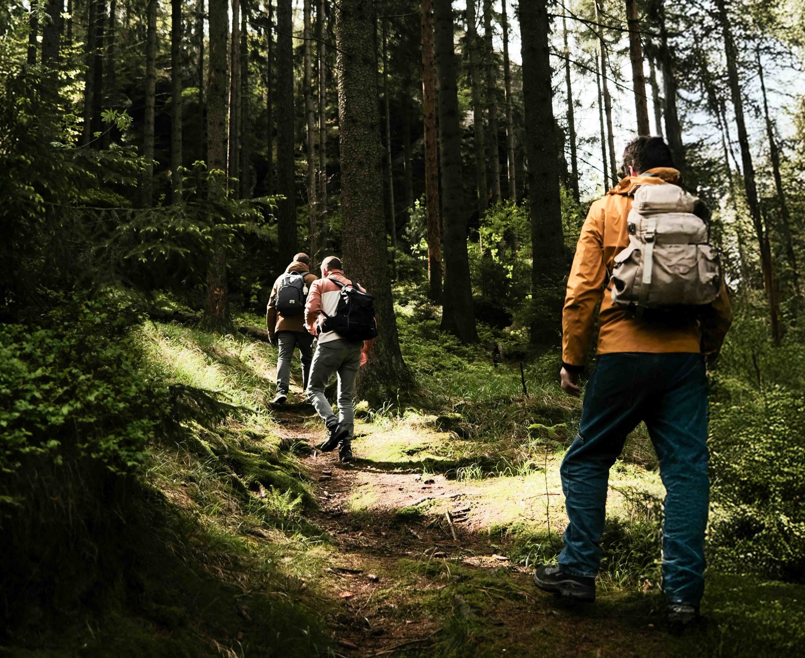 Randonne  avec ton SSE !